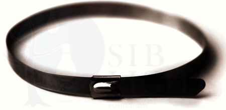 Хомут из нержавеющей стали AISI 316 4 6х400 ДКС 27608