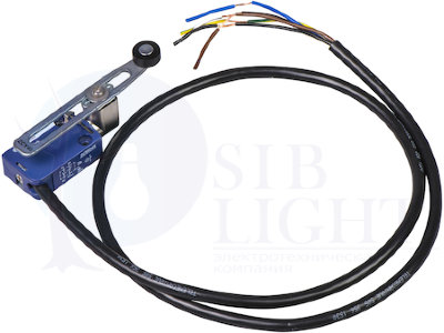 КОНЦЕВОЙ ВЫКЛЮЧАТЕЛЬ РОЛИК РЕГ. ДЛИННОЙ Schneider Electric XCMD2145L1