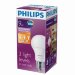 Светодиодная лампа Philips Scene Switch E27 9W = 70W теплый свет диммируемая(ступенчатое от выключателя) EyeComfort арт. 929001208707