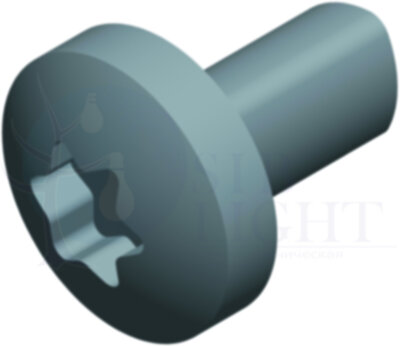 САМОНАРЕЗАЮЩИЙ ВИНТ TORX T30 (M6x12) Schneider Electric NSYST30M6S