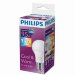 Светодиодная лампа Philips Scene Switch E27 9,5W = 60W теплый/холодный свет EyeComfort арт. 929001155937