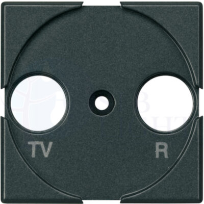 Axolute Лицевая панель для розеток TV + FM, цвет антрацит BTicino HS4204