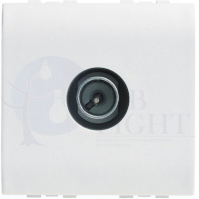 LivingLight TV розетка экранированная 2-мод. папа, белый BTicino N4202DC2