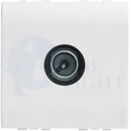 LivingLight TV розетка экранированная 2-мод. папа, белый BTicino N4202DC2