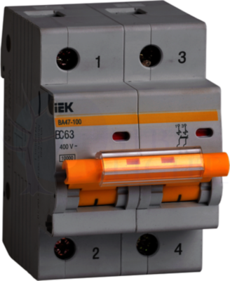 Автомат 2P 63А ВА47-100 (10 кА, C) IEK MVA40-2-063-C