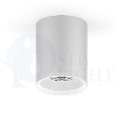 LED светильник накладной HD011 12W (белый) 4100K 79x100,920лм,1/30