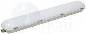 Светильник светодиодный ДСП 1421 20Вт 6500К IP65 600мм IEK