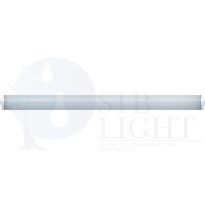 Пылевлагозащищенные светильники серии DSP-02 DSP-02-36-6.5K-IP65-LED