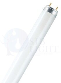 L 36W/827-1 25X1 OSRAM