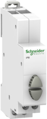 КНОПКА УПРАВЛЕНИЯ iPB СЕРАЯ/СЕРАЯ 1НО/1НО Schneider Electric A9E18035