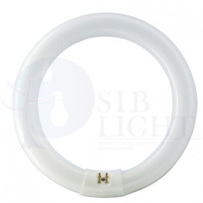 TL-E 22W/33-640 1CT/12