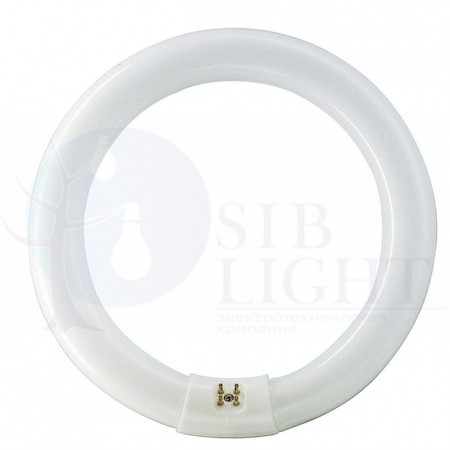 TL-E 22W/33-640 1CT/12