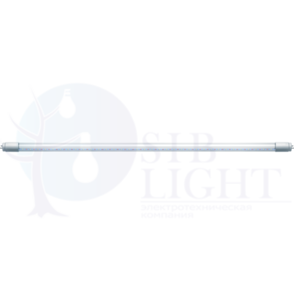 Светодиодные лампы для подсветки мясных продуктов NLL-T8-12-230-MEAT-G13-CL