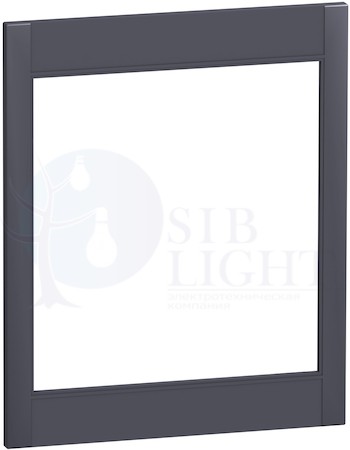 РАМКА IP30 С ДОСТУПОМ К РАСЦ. (100-250) Schneider Electric LV429526