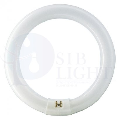 Лампа люминесцентная TL-E 32W/33-640 1CT/12 32Вт кольцевая 4100К G10q / 871150055956215 Philips 928026303360