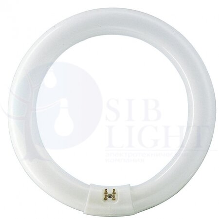 Лампа люминесцентная TL-E 32W/33-640 1CT/12 32Вт кольцевая 4100К G10q / 871150055956215 Philips 928026303360