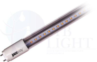 Лампа светодиодная Спец PLED T8 -1200 Food Green 18W G13 CL/PL 230V/50Hz Jazzway 5006546