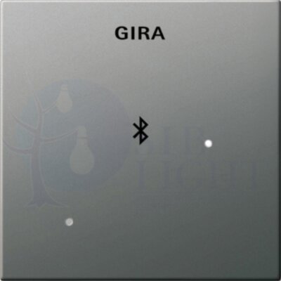 Накладка для док-станции (нержавеющая сталь) Gira 2288600
