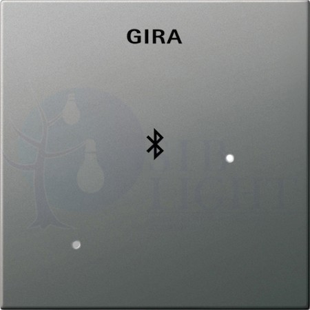Накладка для док-станции (нержавеющая сталь) Gira 2288600