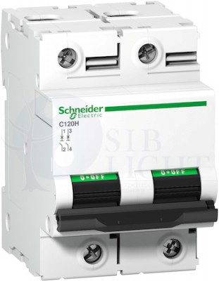 Автоматический выключатель 2 полюса, 80А, D, 15 кА Schneider Electric A9N18501
