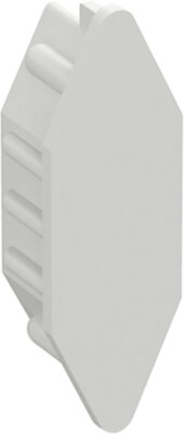 ЗАГЛУШКА ТОРЦЕВАЯ 28I БЕЛАЯ Schneider Electric 735446