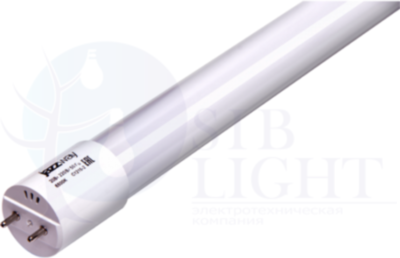 Лампа LED T8 20W 6500K мат. стекло 1200х26mm 1600lm Jazzway 1025340