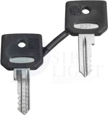 КОМПЛЕКТ КЛЮЧЕЙ N\ 421E Schneider Electric ZBG421E