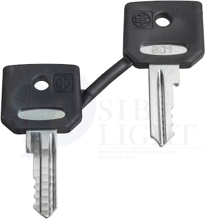 КОМПЛЕКТ КЛЮЧЕЙ N\ 421E Schneider Electric ZBG421E