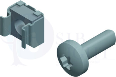 ВИНТ TORX T30 (M6x10) Schneider Electric NSYSPM6