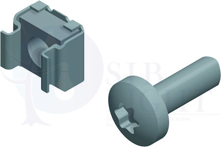 ВИНТ TORX T30 (M6x10) Schneider Electric NSYSPM6
