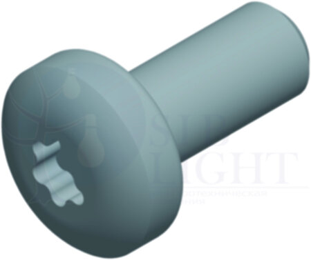 ВИНТ TORX T30 (M6x16) Schneider Electric NSYST30M6