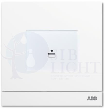 Считыватель карт доступа, белый ABB 2CKA008300A0434
