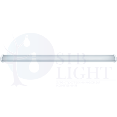 Пылевлагозащищенные светильники серии DSP-02 DSP-02-36-4K-IP65-LED
